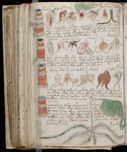 voynich3