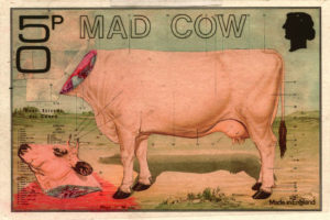 Mad cow