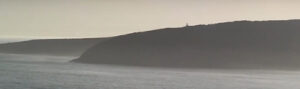 Figure 4 Kangaroo Island video still credt the author 2009