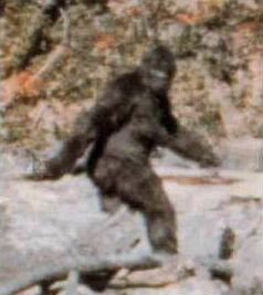 Patterson–Gimlin film frame 352 1