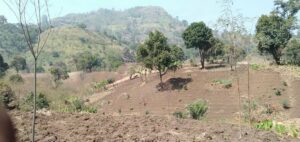 Mbesa Mbessa Farmlands View